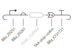 first DNA design, Kernel circuit