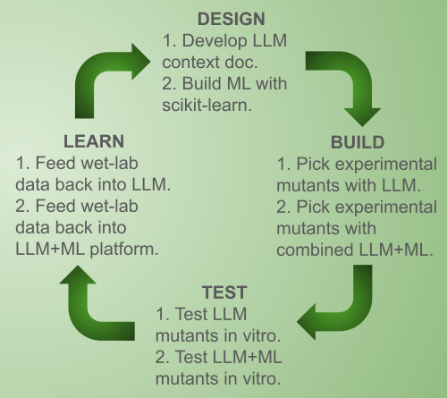 DBTL cycle