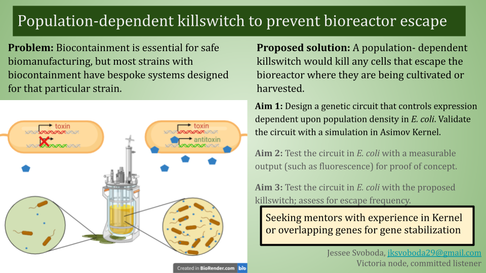 chosen idea slide