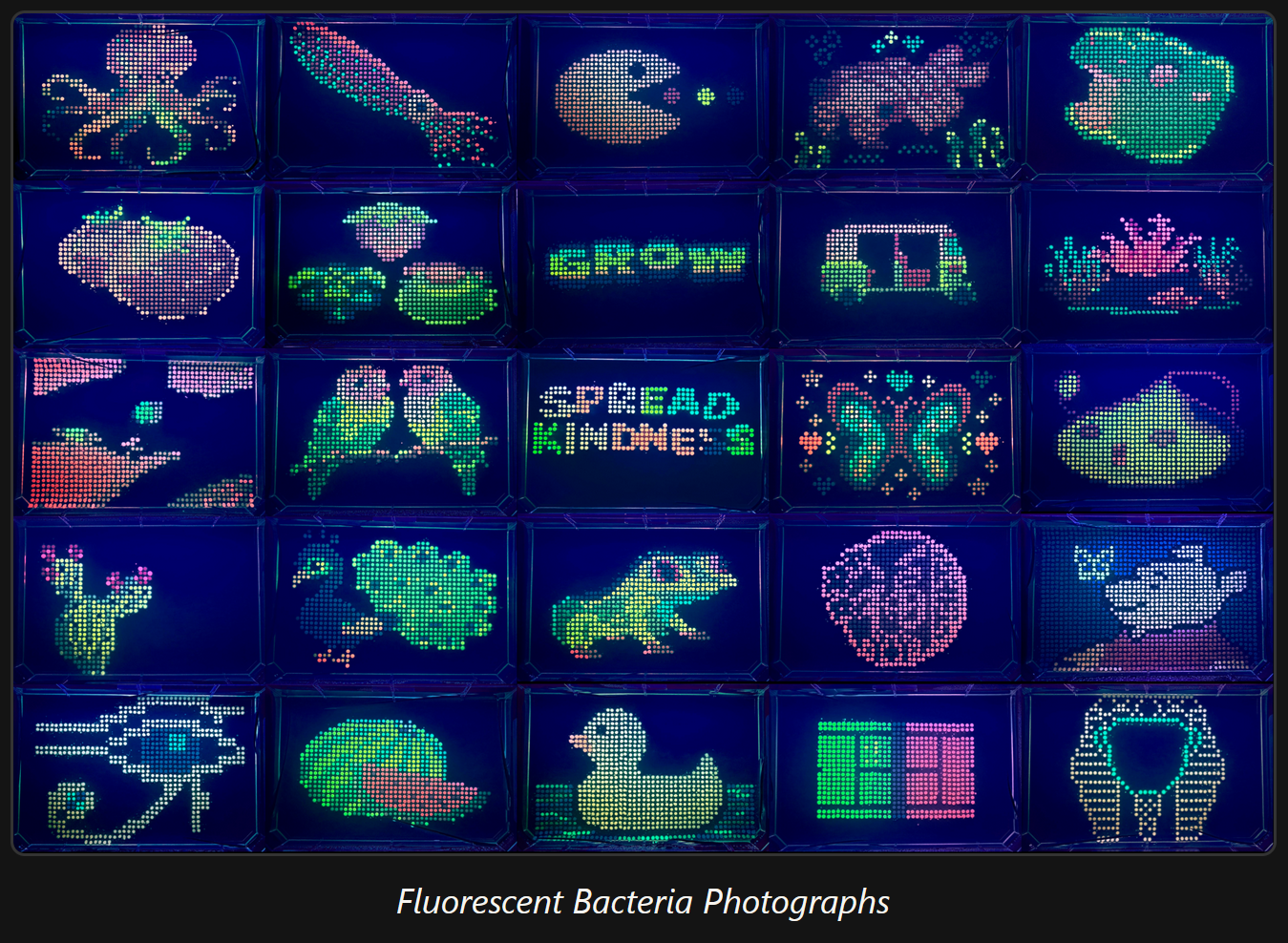 All artwork under fluorescence