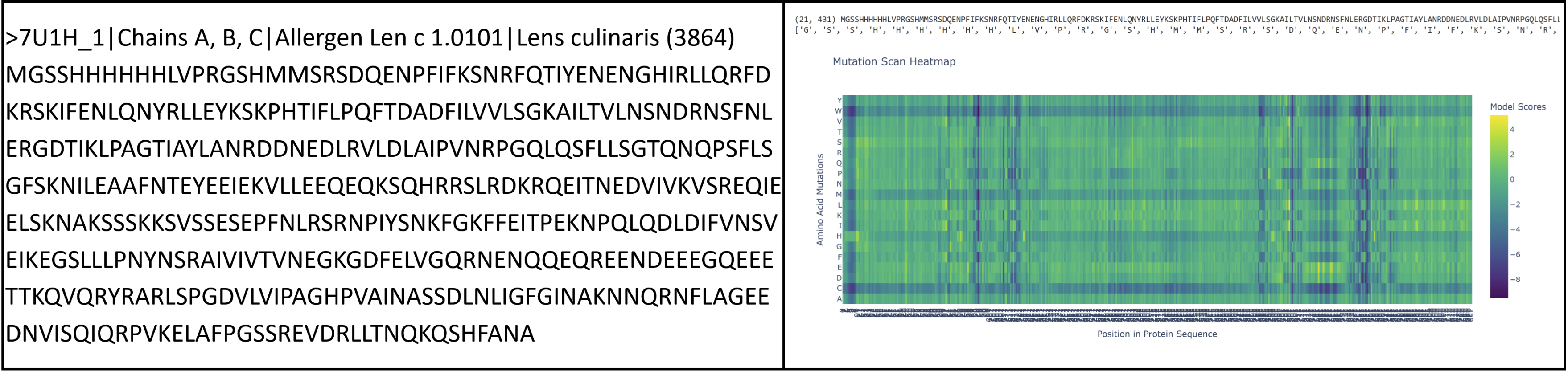 Attempt at a deep mutational scan with vicilin. I had trouble reading the result.