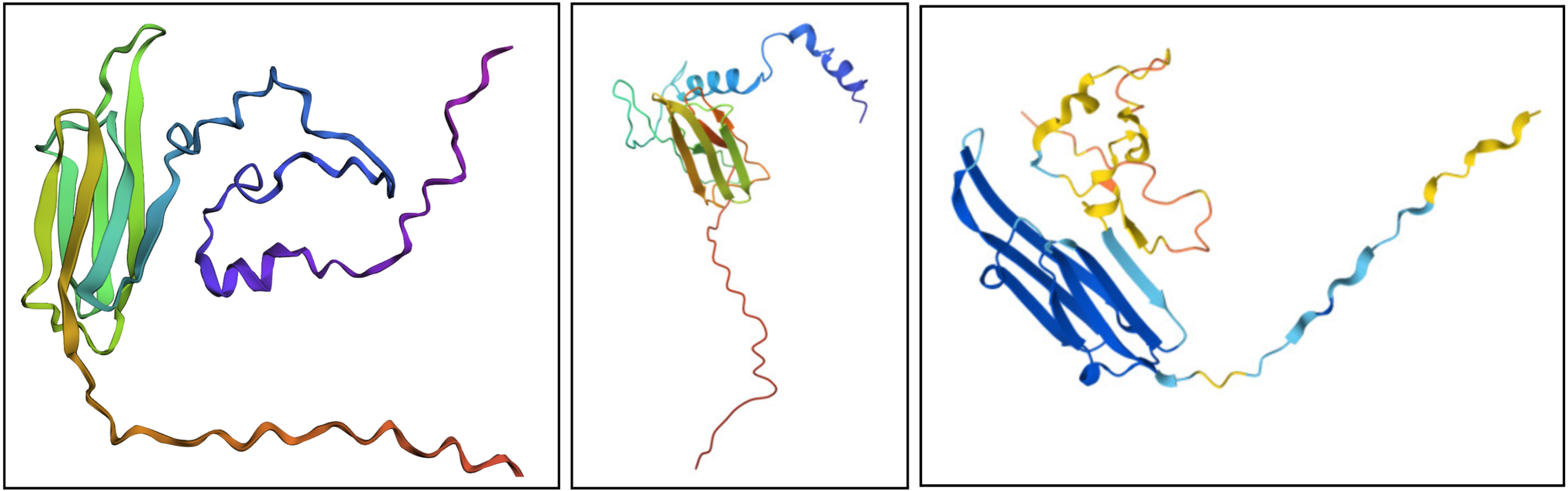 Embedding visualization of proteins