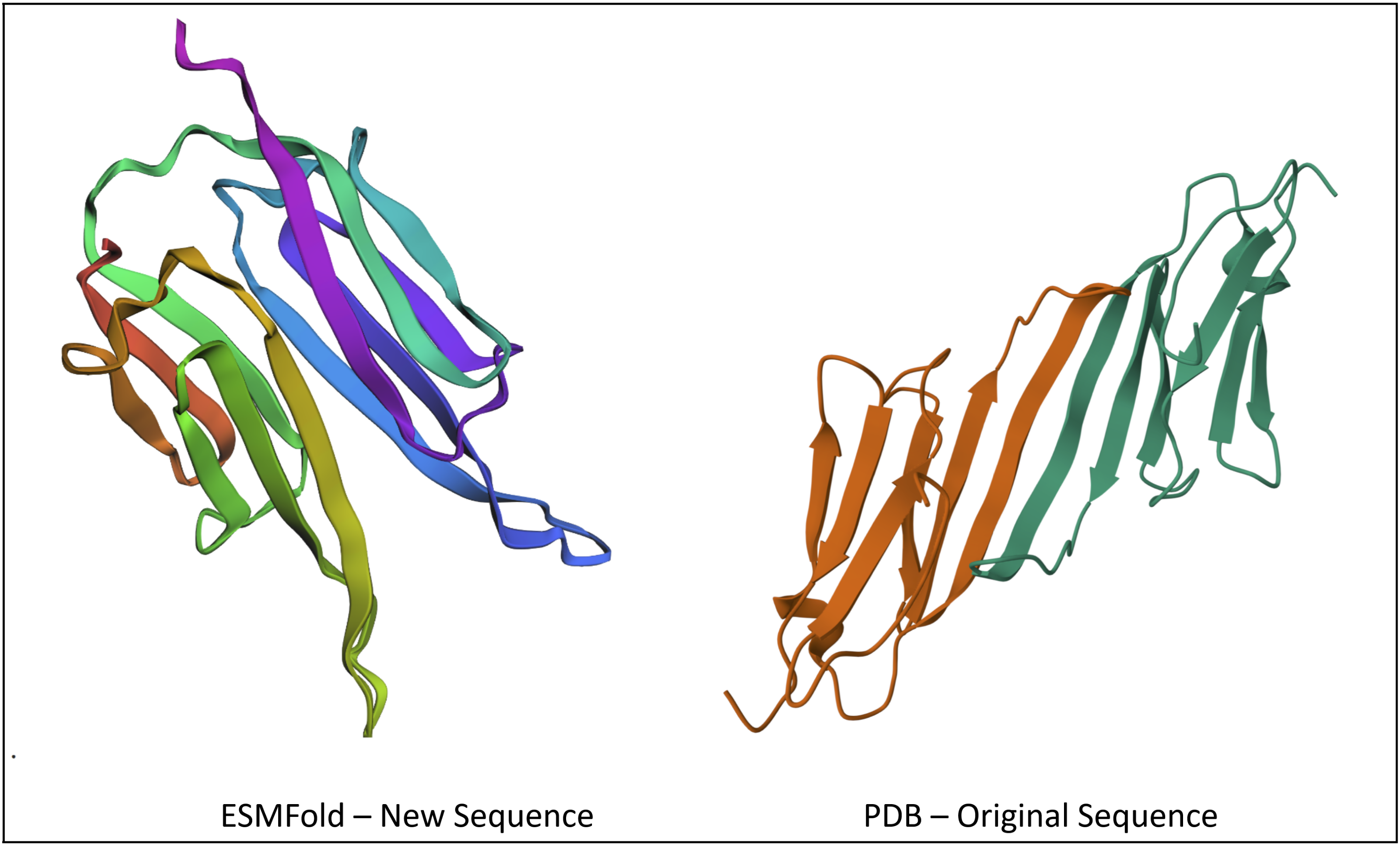 ESMFold of new sequence
