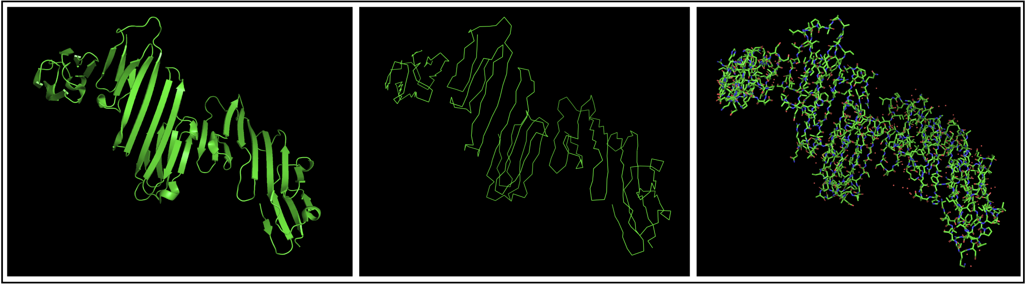Opened structure on PyMol