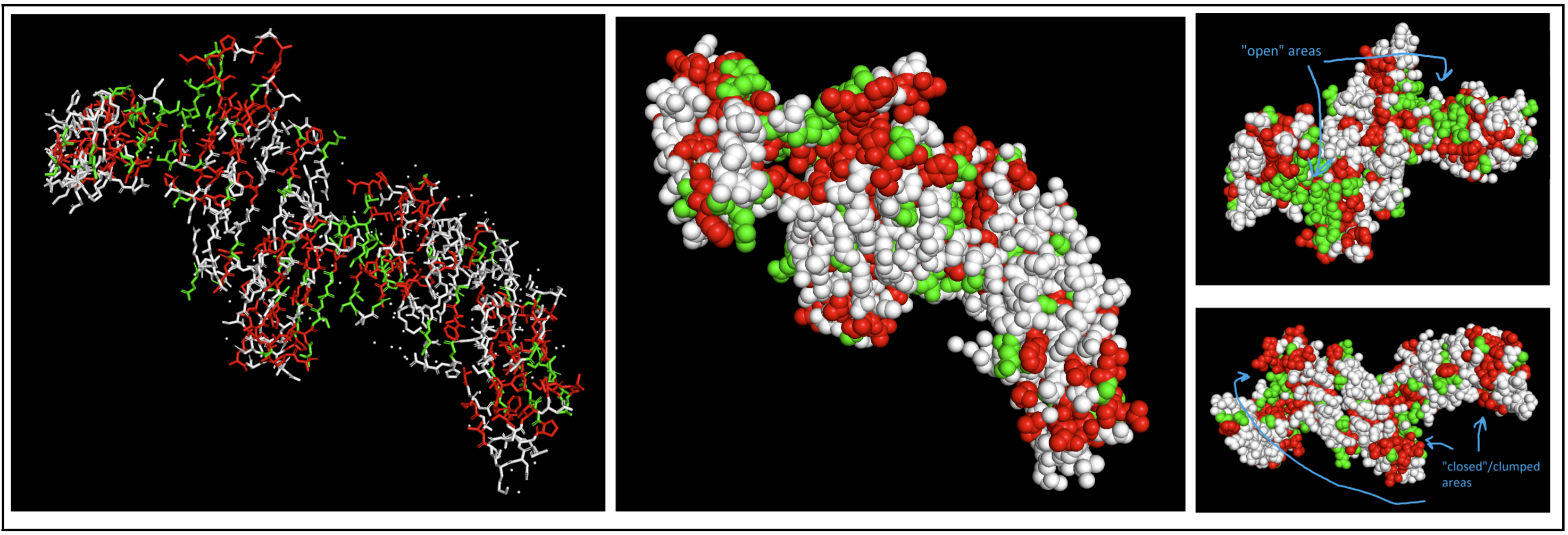 Residue-colored protein