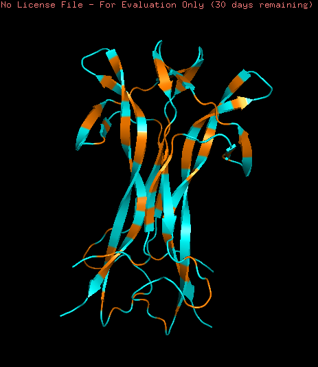 Hydrophbic.png