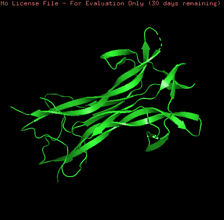 NGF_Ribbon.png