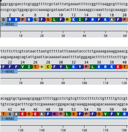 Benchling_Protein_Alignment of our protein