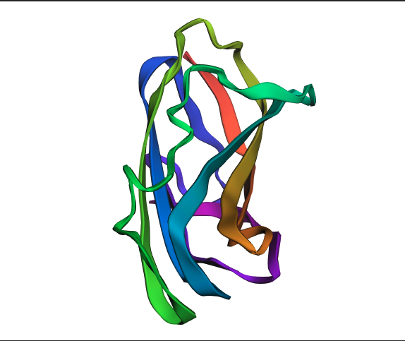 Predicted Structure