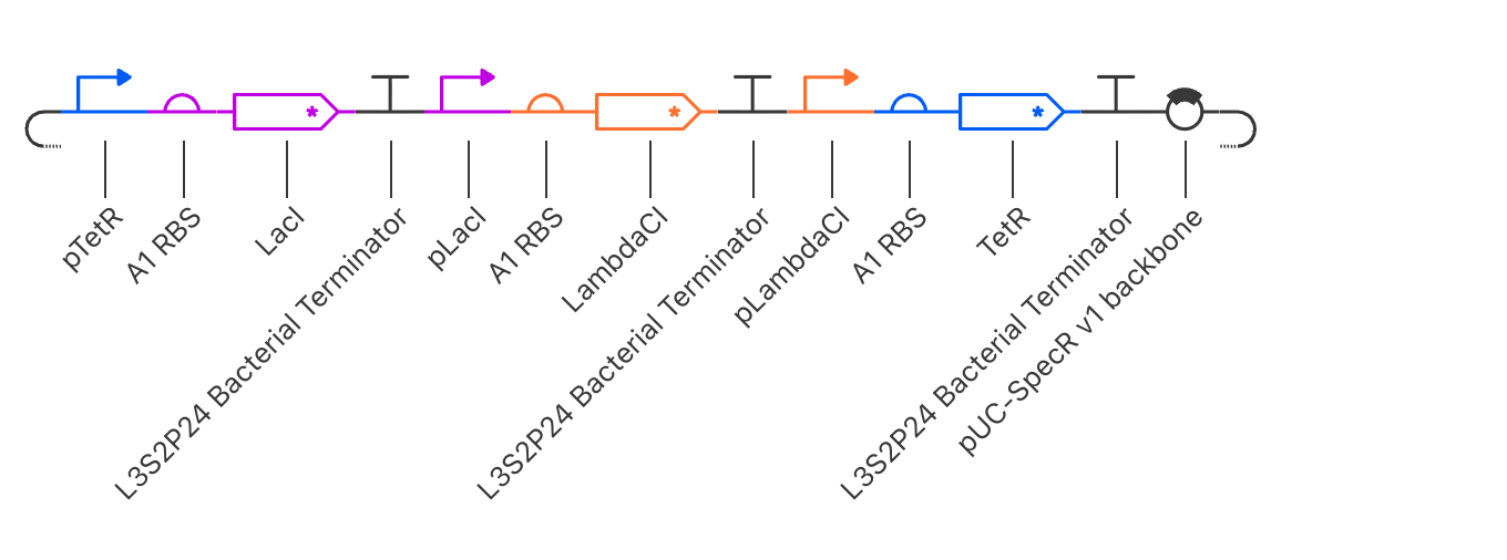Construct 1 Schematic