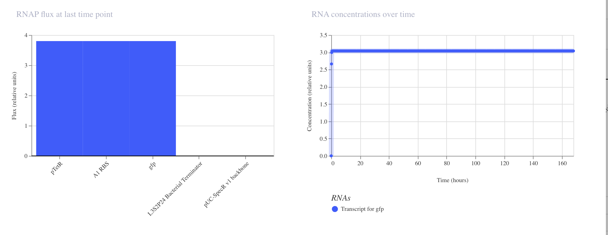 Construct 1 Simulation RNA and RNAP Flux