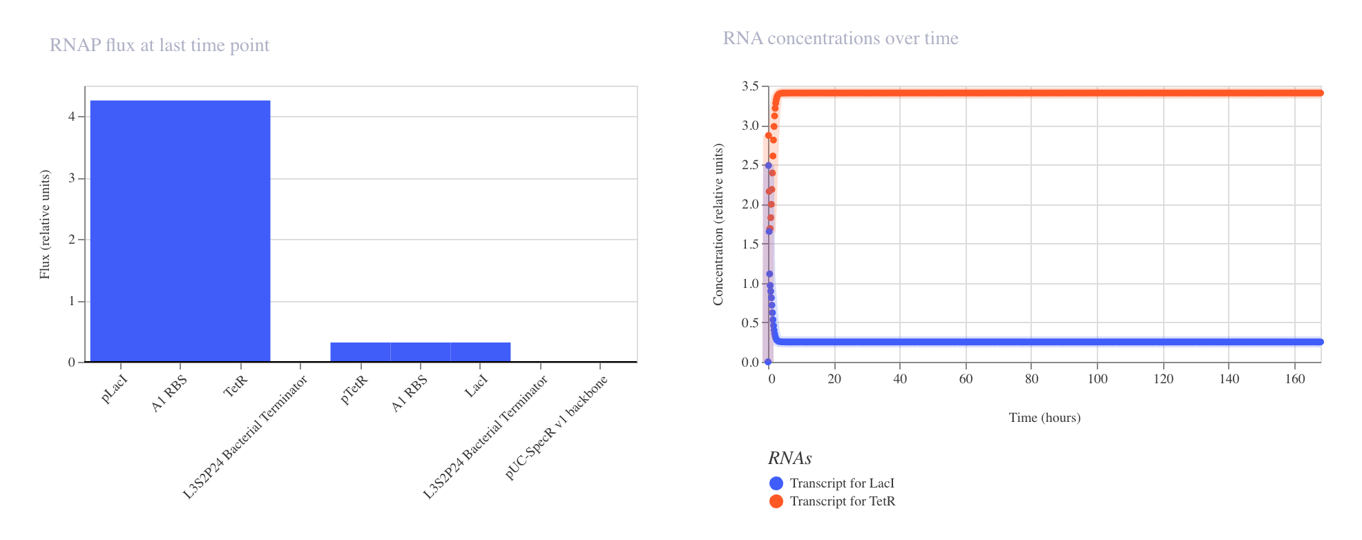 Construct 2 Simulation RNA and RNAP Flux