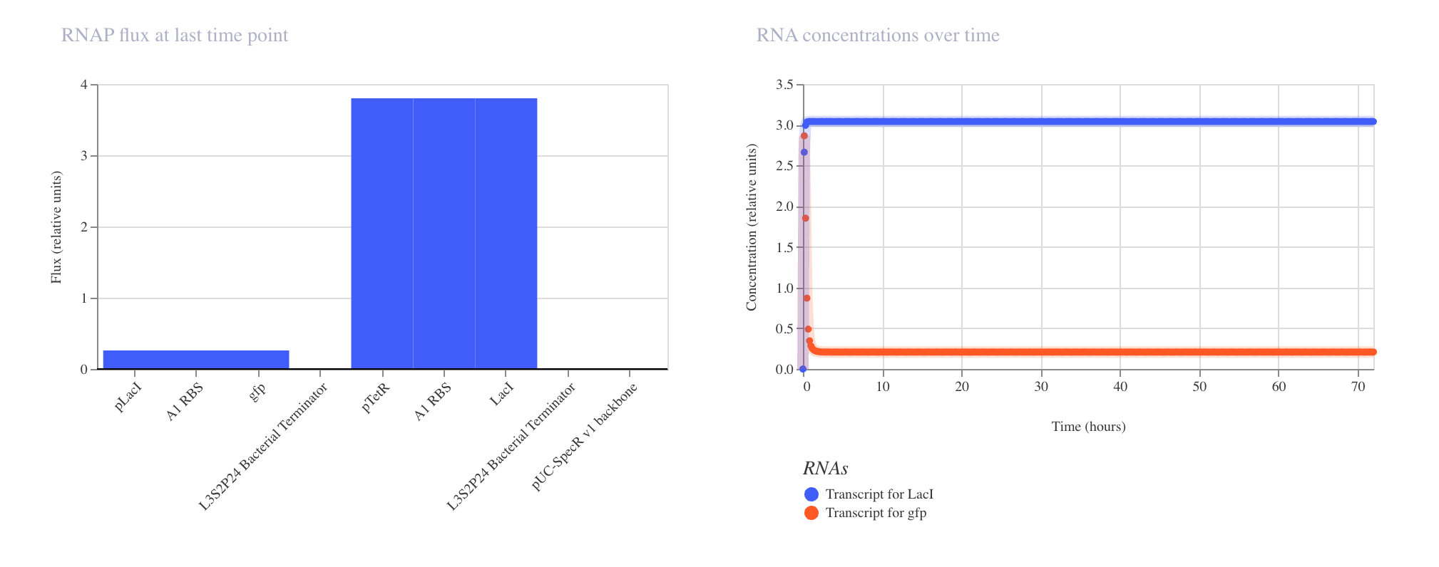 Construct 3 Simulation RNA and RNAP Flux