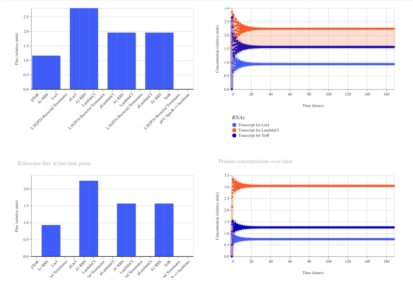 Repressilator Simulation Result