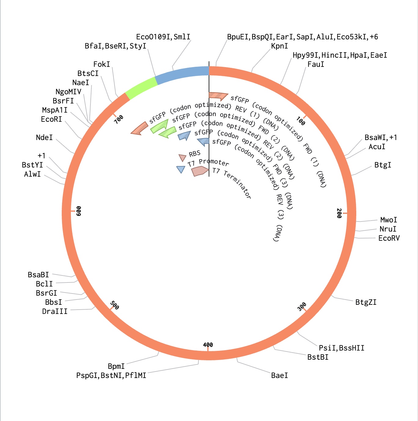 Plasmid Design