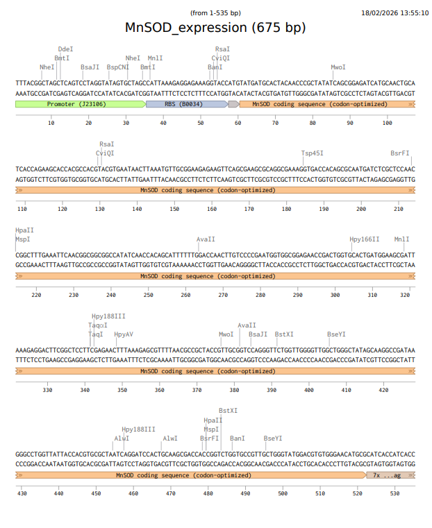 MnSOD annotations 1