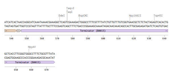 MnSOD annotations 2