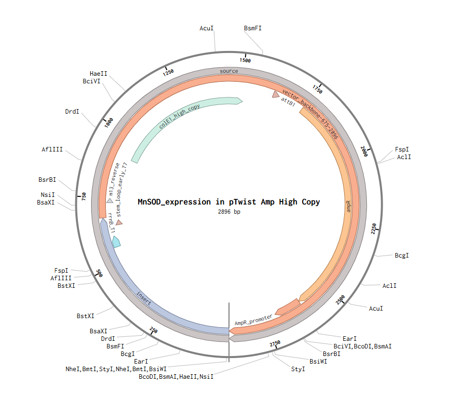 Restriction nzymes