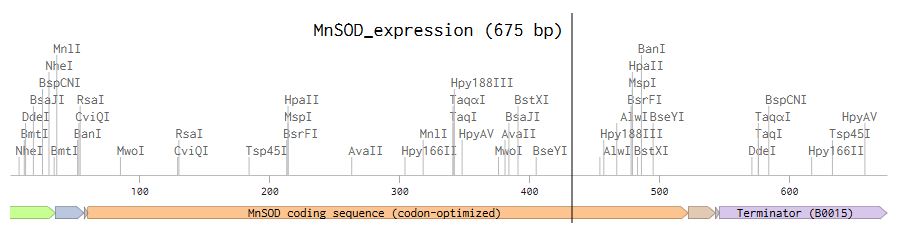 Linear Map