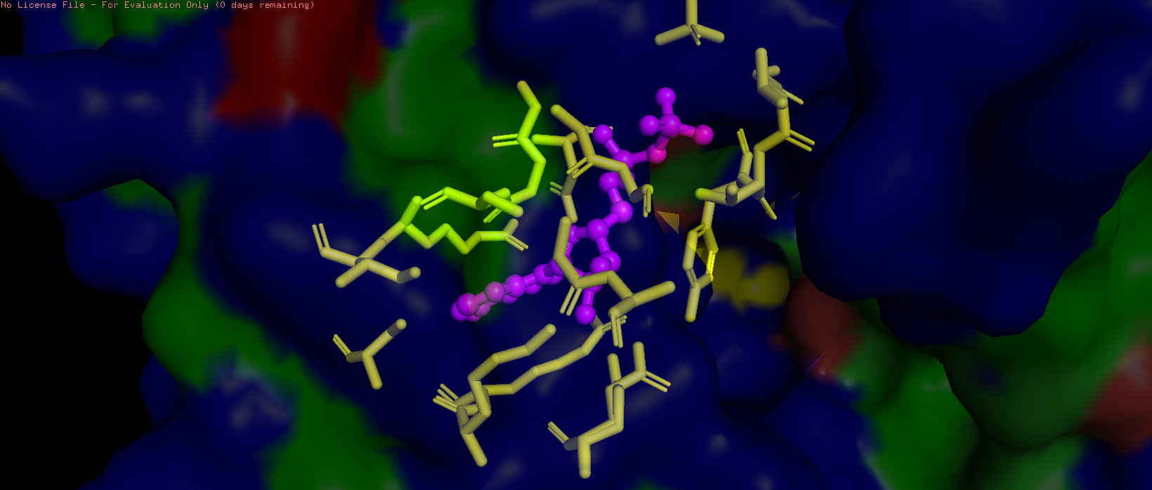 3i33 Pocket residues