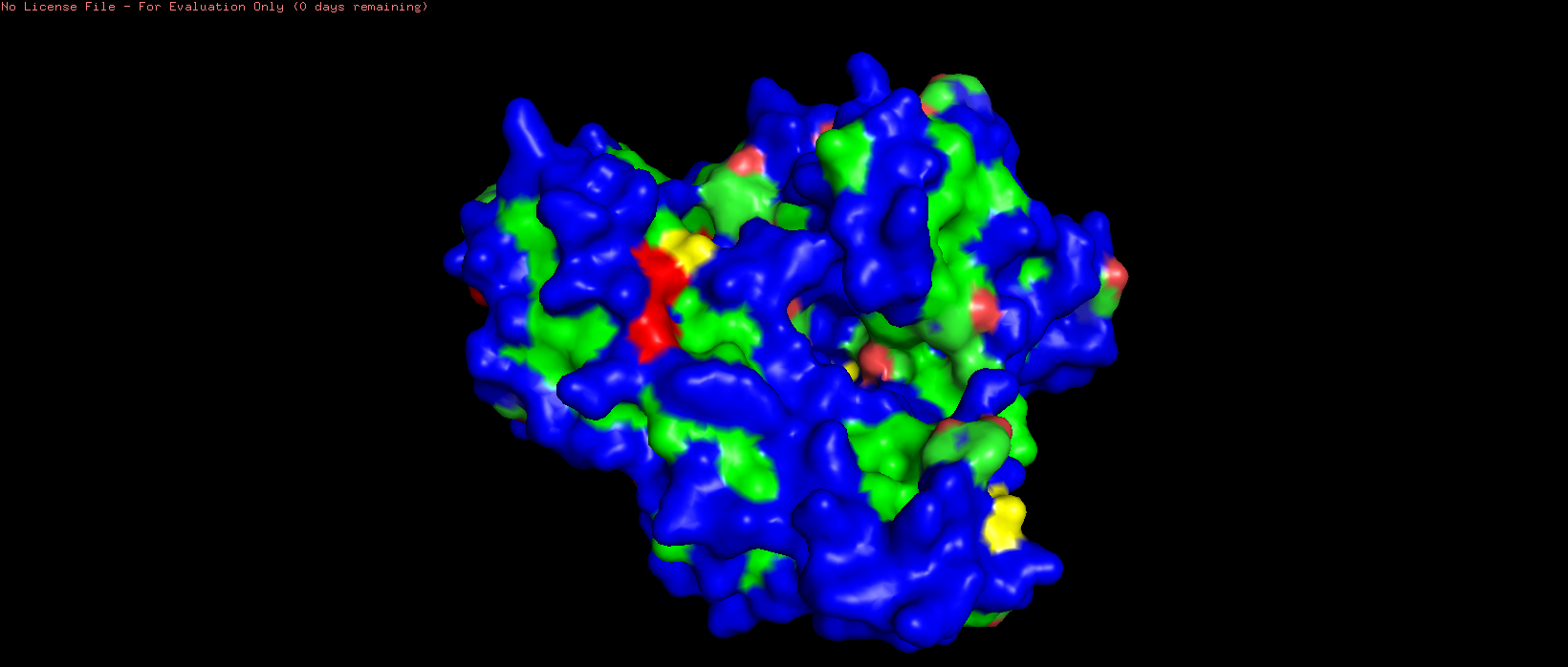 3i33 protein surface