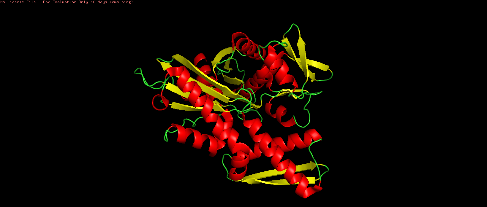 3i33 secondary structure