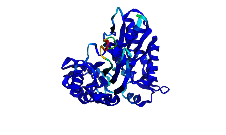 HSPA2 Active Site Mutation