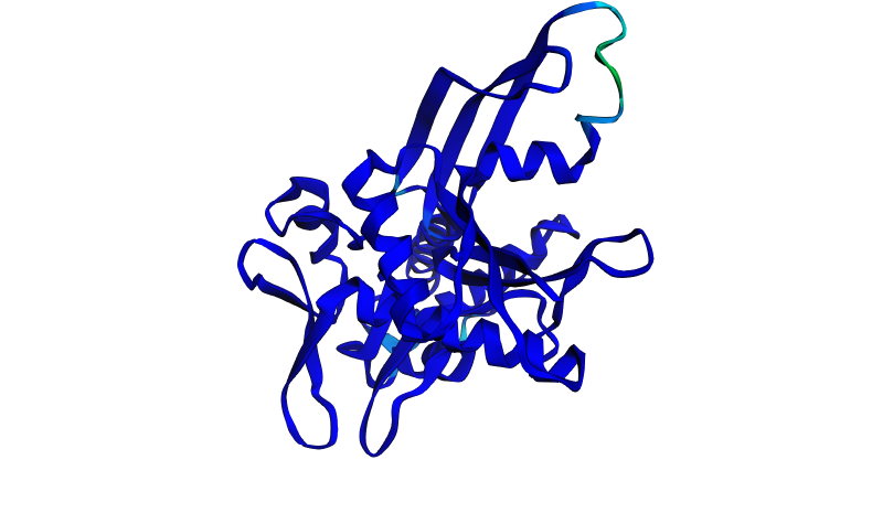 HSPA2 Deletion