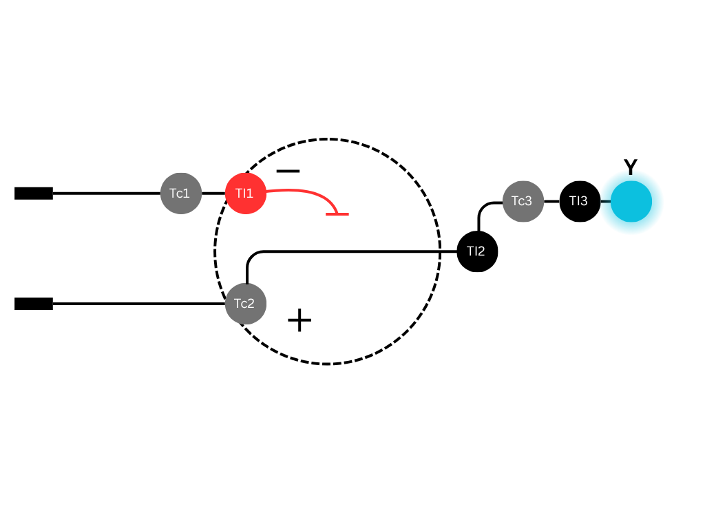 single-layer perceptron