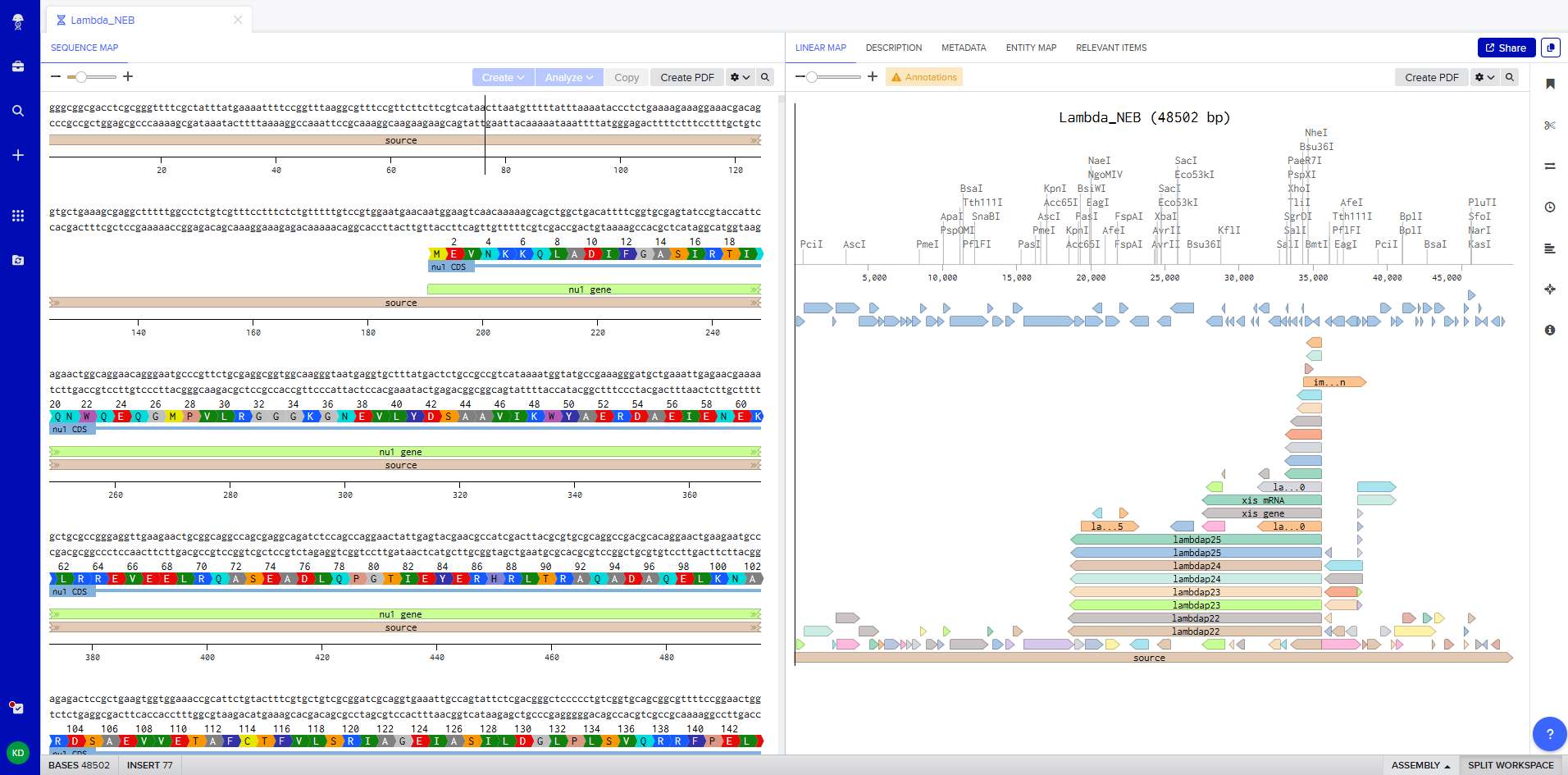 Import the Lambda DNA