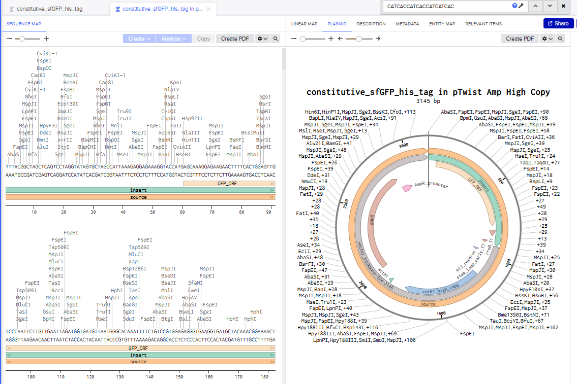 Plasmid for sfGFP