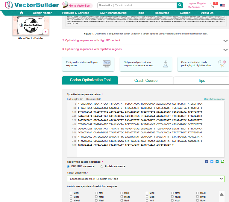 Specifying my sequence to be inserted into E. coli