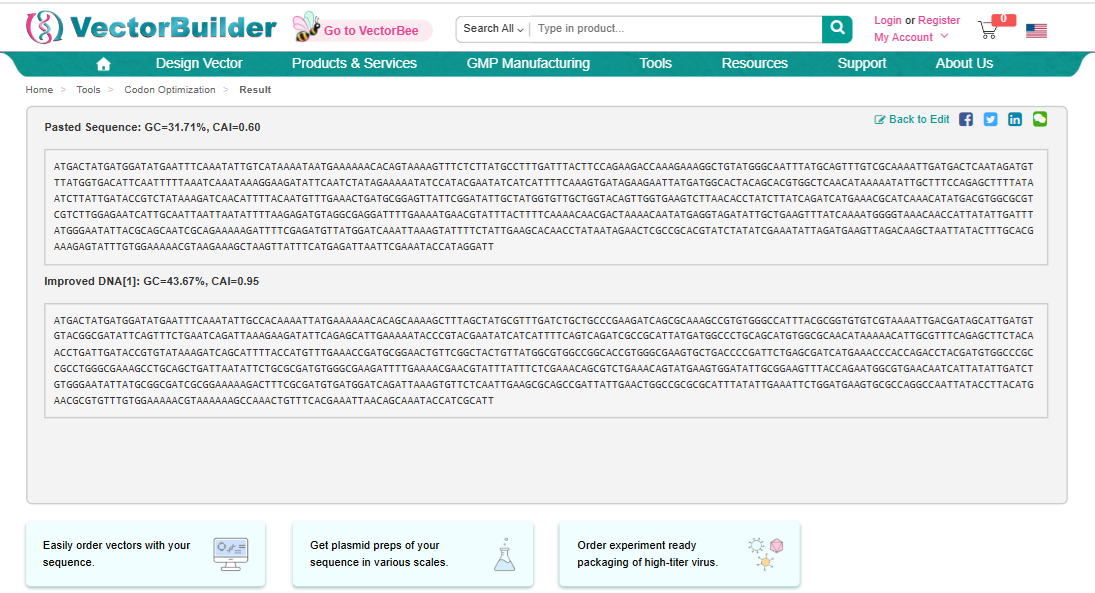 The optimised codon results provided by Vector Builder
