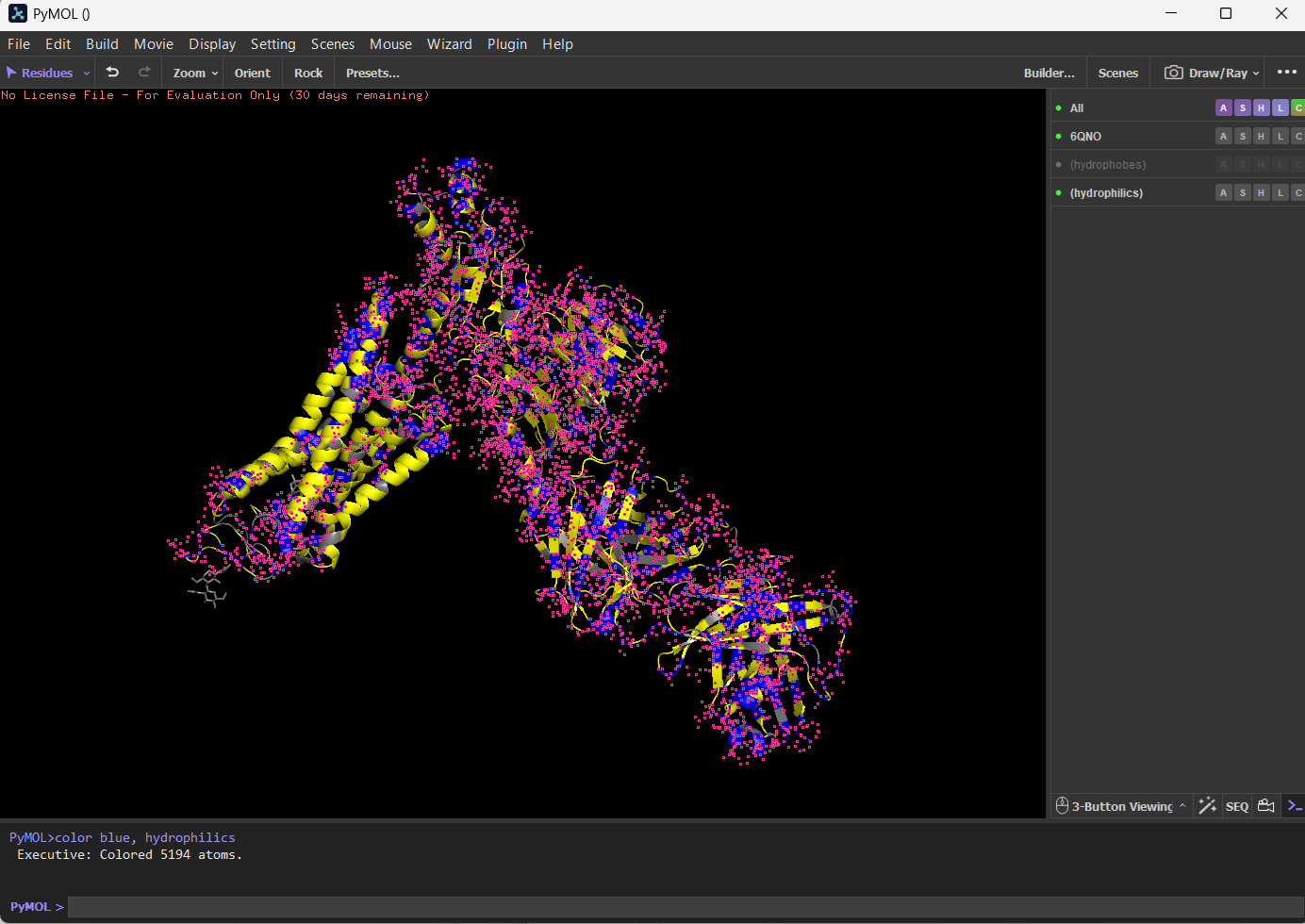 Rhodopsin Hydrophilic and Hydrophobic residues through PyMol