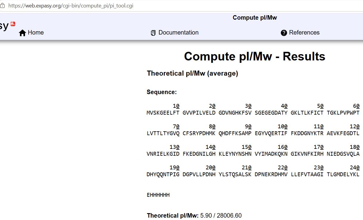 Theoretical weight of eGFP calculated using Expasy