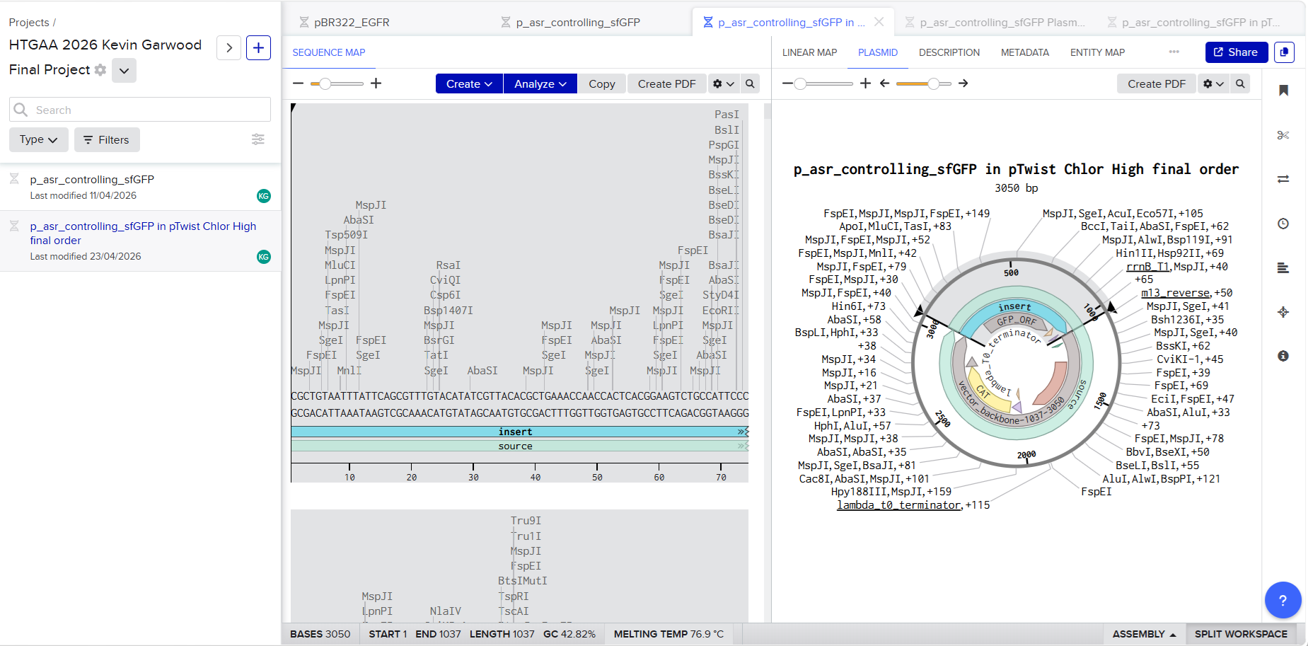 The final, complete plasmid sequence for the project as shown in Benchling