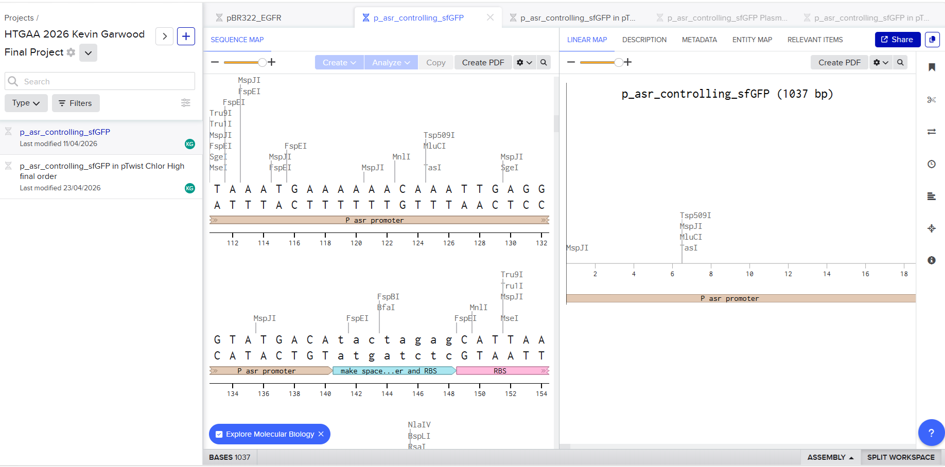 The genetic circuit for this project in Benchling