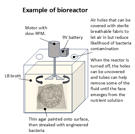 An example bioreactor