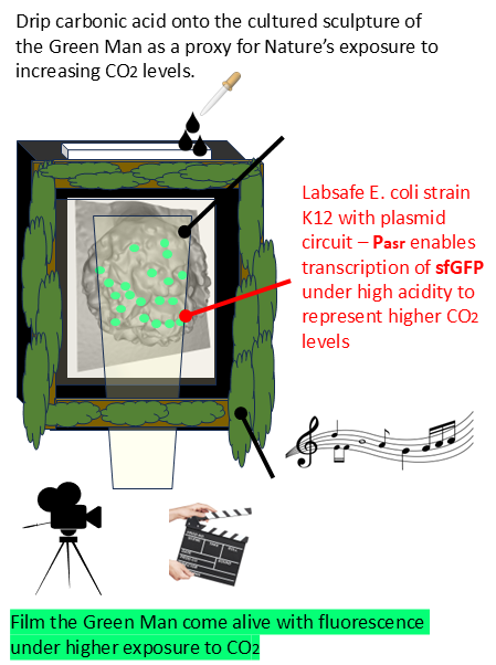 Bioart installation of the Green Man responding to higher levels of exposure to carbon dioxide
