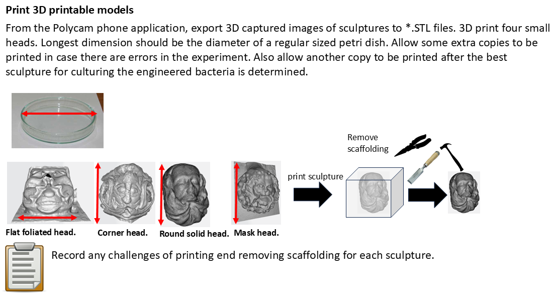 3D print promising Green Man sculptures