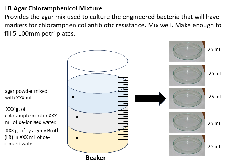 Prepare LB agar chlorophenicol mixture