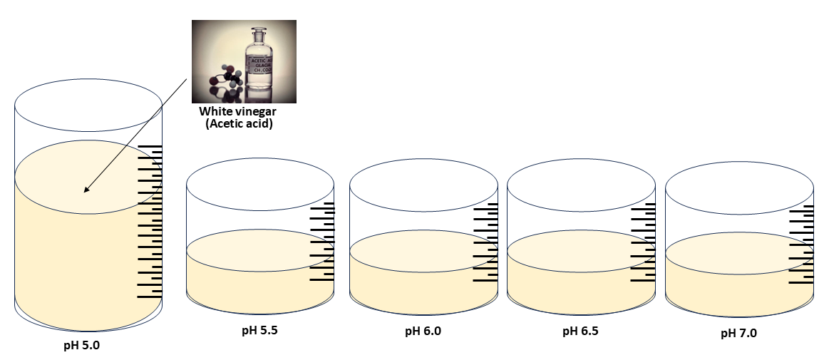 Prepare acetic acid solution