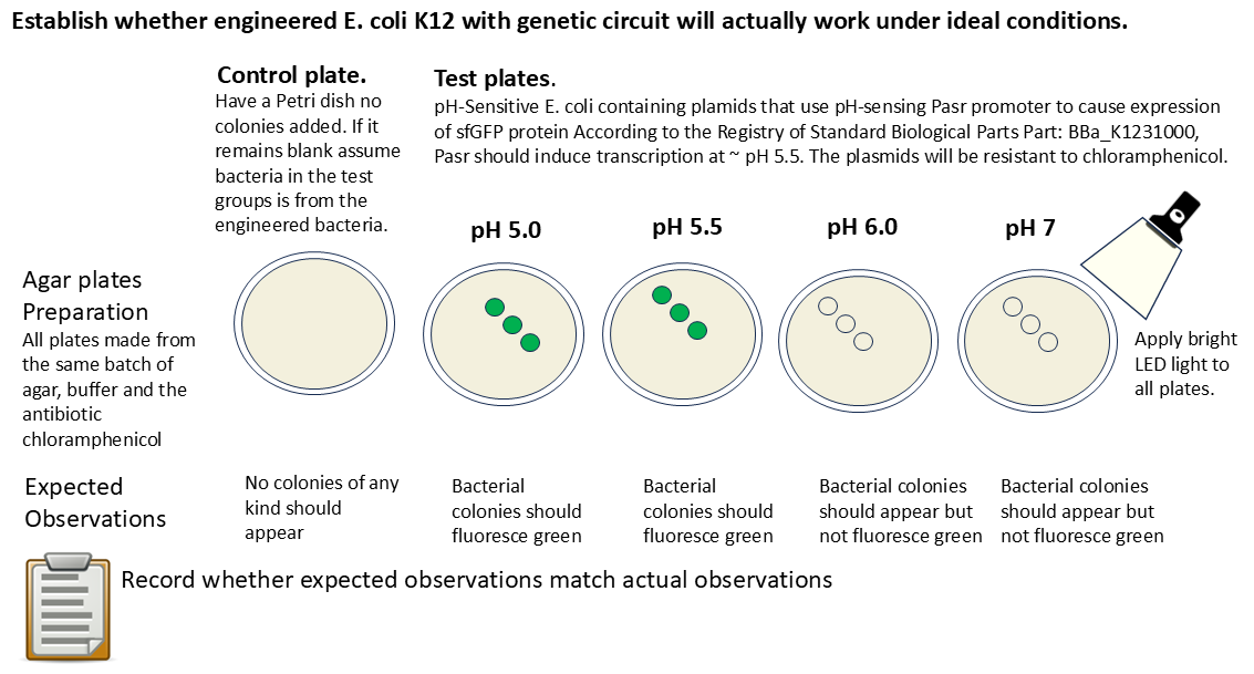 Check that engineered bacteria work