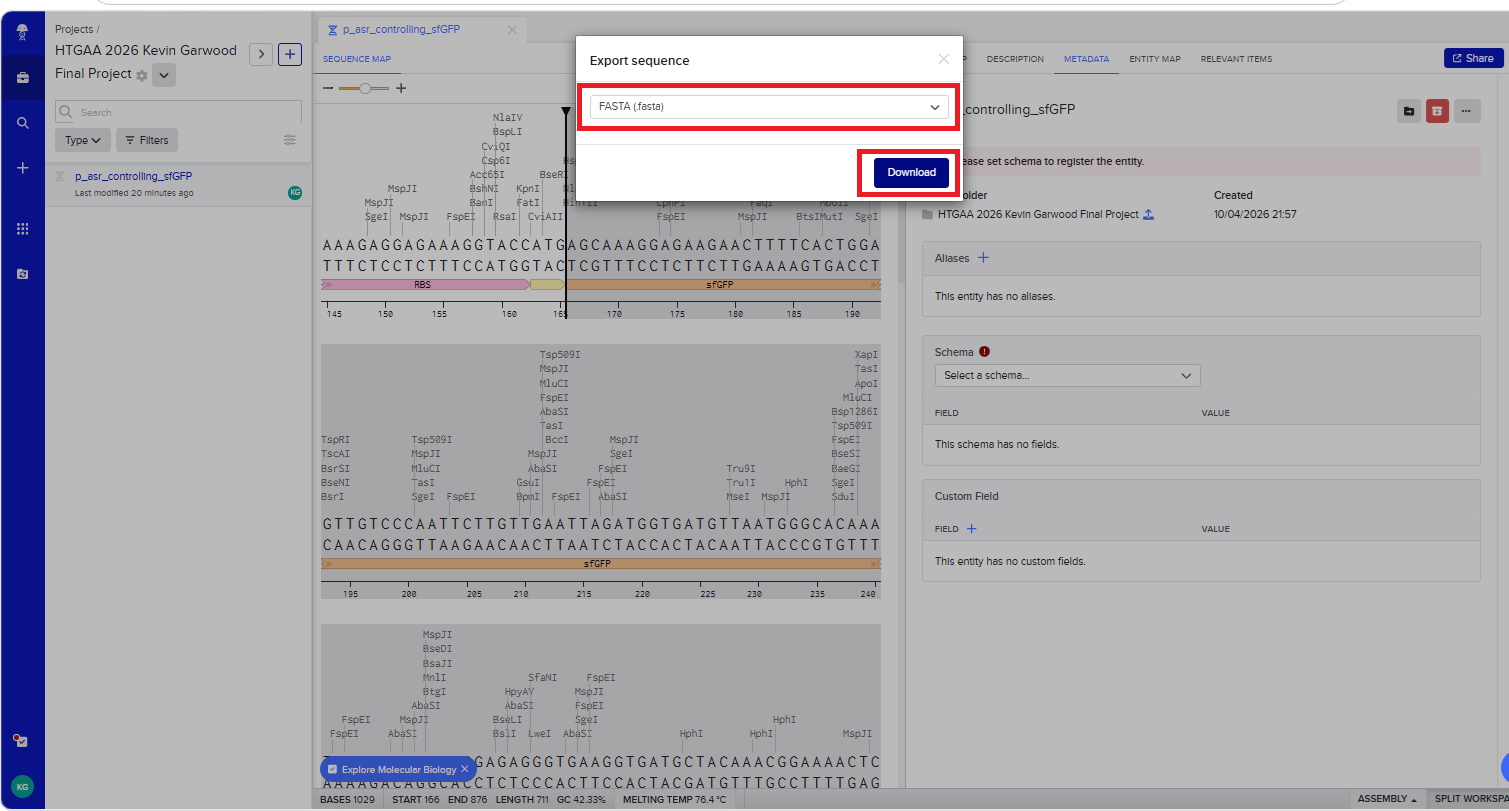 Export the sequence as a FASTA file