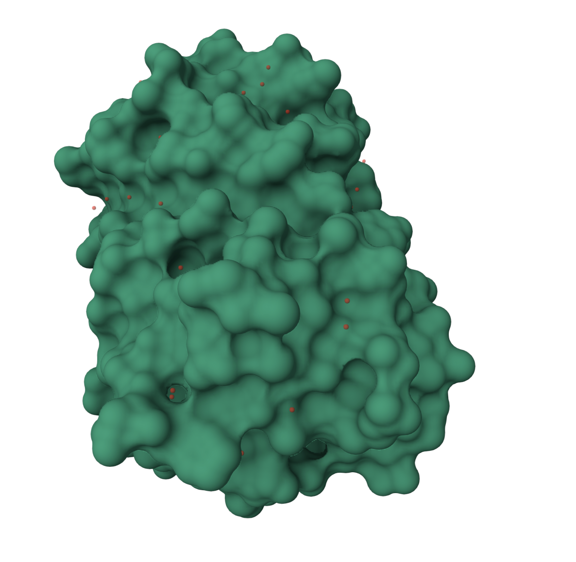 GFP surface representation