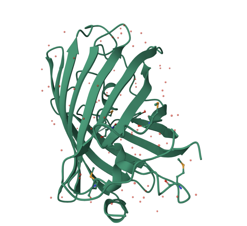 GFP beta-barrel cartoon view