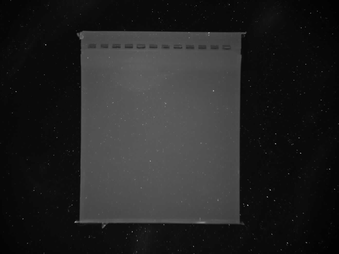 Gel image