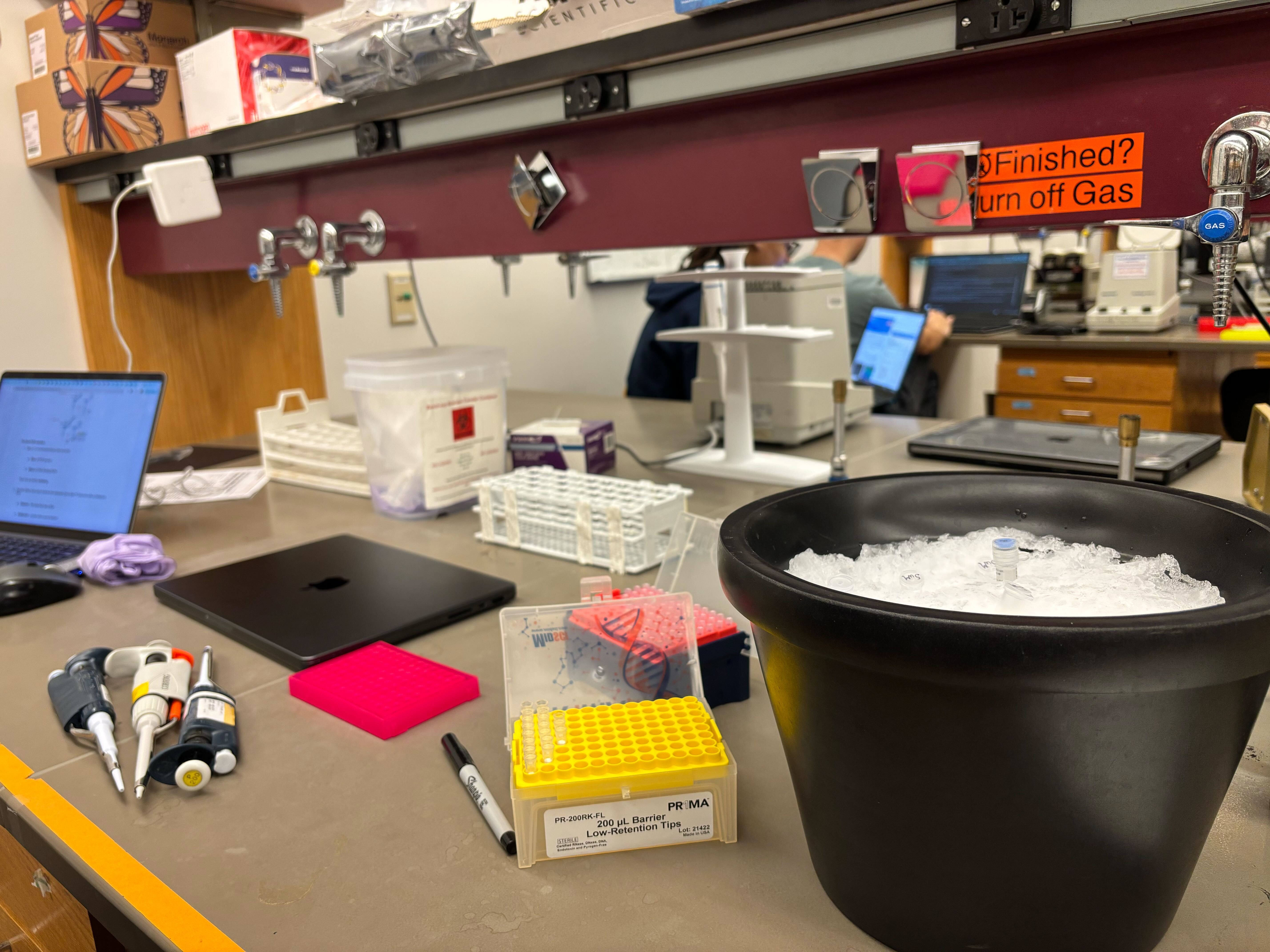Lab photo 1