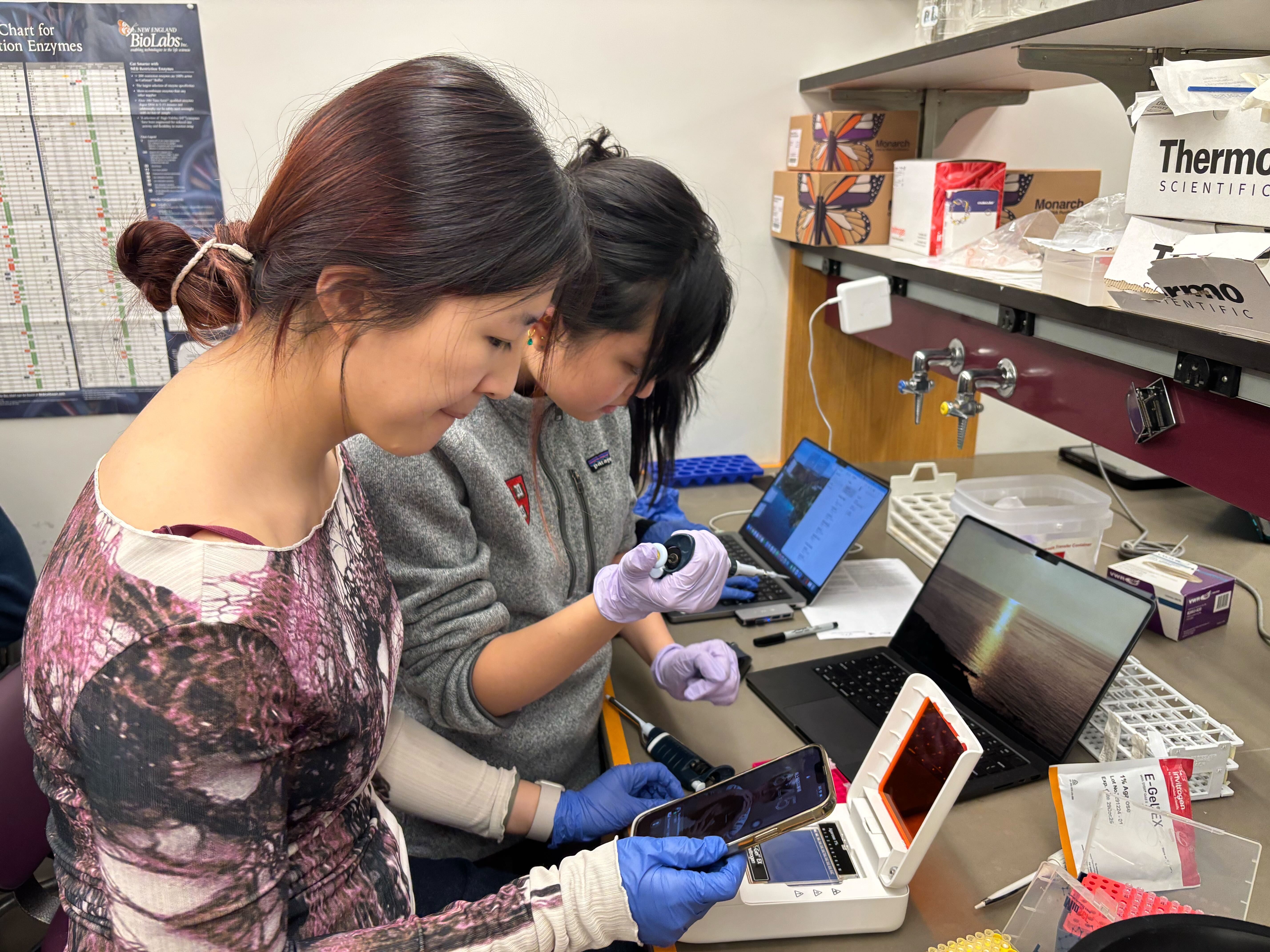 Lab photo 2