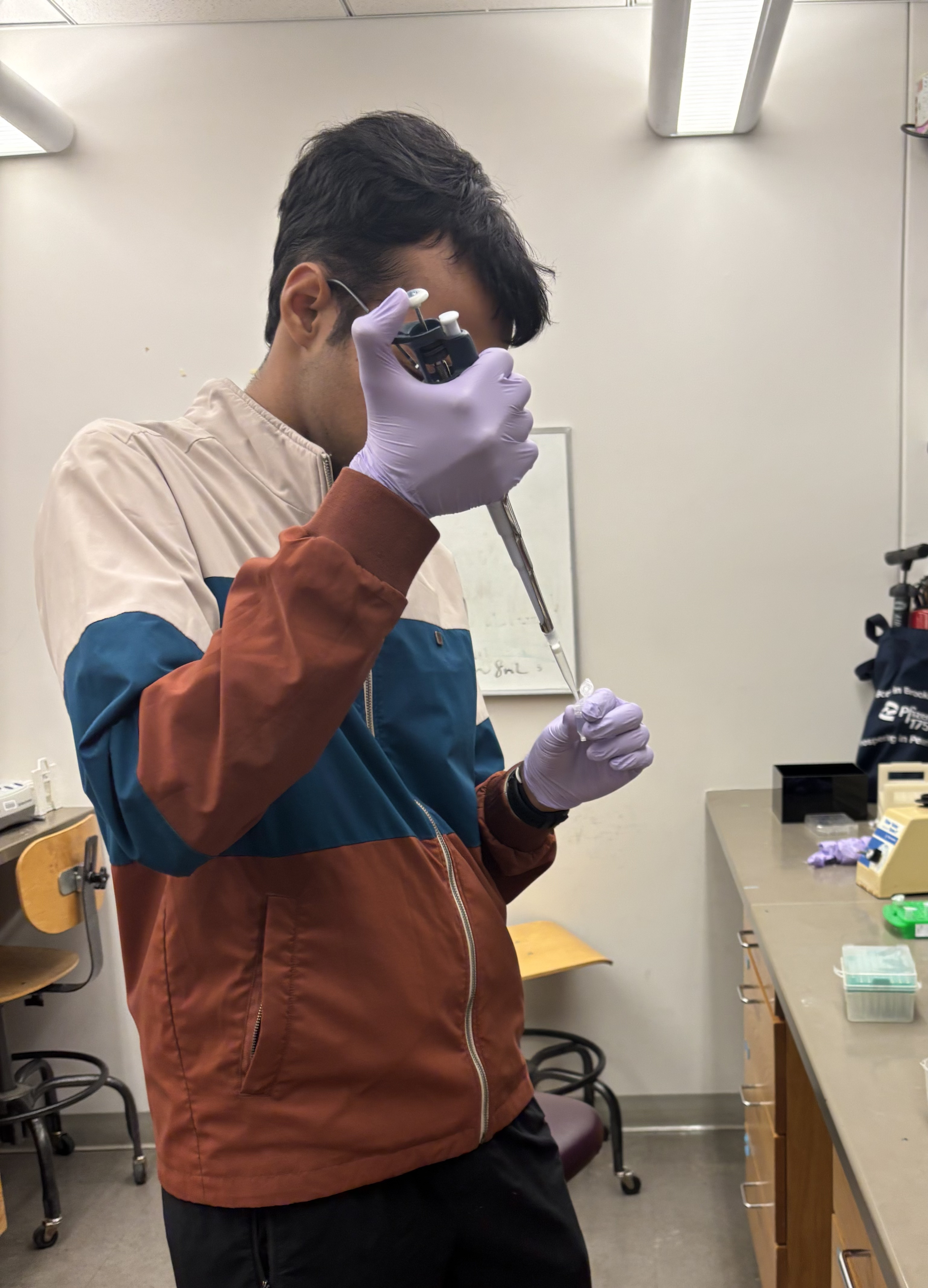 Project image 1